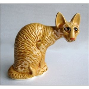 Корниш-рекс
