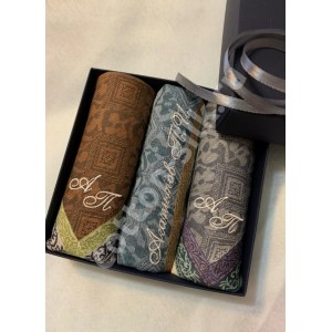 Мужской носовой платок "Brodi" 