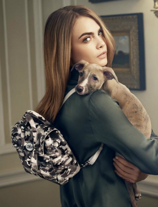 http://www.cotton-silk.ru/images/upload/cara-delevingne-animals-mulberry1-798x1200.jpg